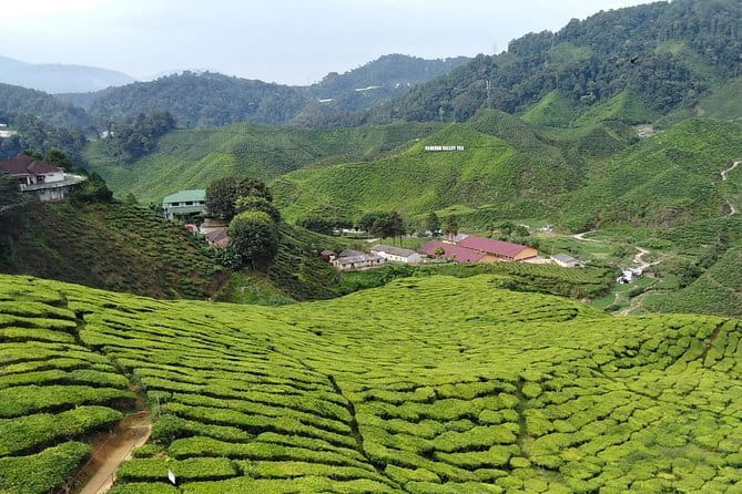 2 Days Private Vehicle With Driver -Explore Malaysia By Your Own Plans - A realistic look at the itinerary stops and how to enjoy them