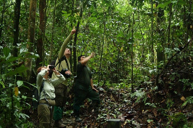 2-Night Danum Valley Borneo Rainforest Lodge Hiking and Wildlife Adventure - Danum Valley base camp: remote rainforest, real logistics