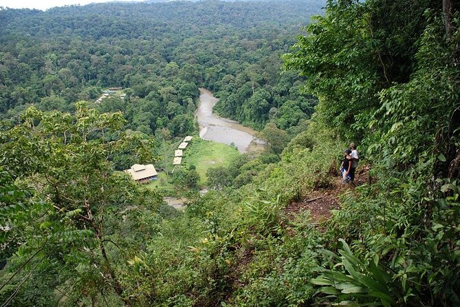 2-Night Danum Valley Borneo Rainforest Lodge Hiking and Wildlife Adventure - Food, rooms, and the reality of staying deep in the rainforest