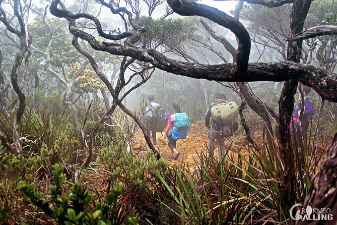 2d1n Mount Kinabalu Via Ferrata - Walk The Torq - Day 1, from Kota Kinabalu pickup to Timpohon Gate and your first big hike