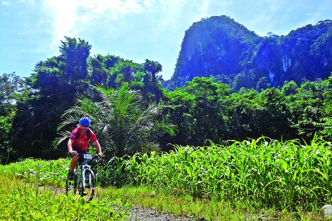 3-in-1 Ultimate Borneo Expedition Adventure - Key points you will care about