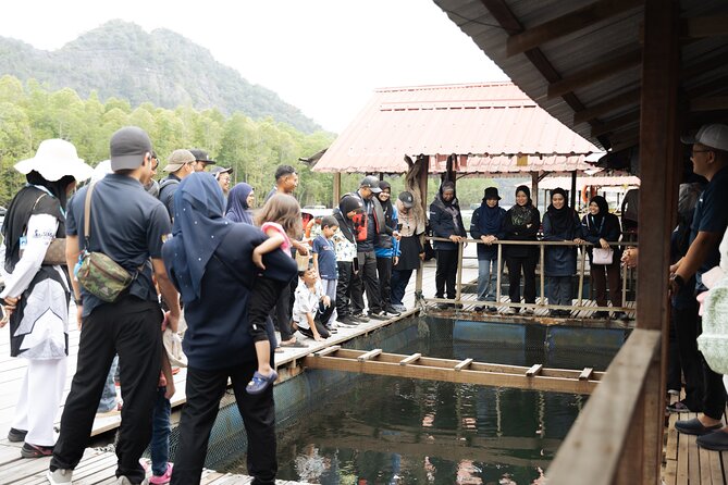 5 Hours Mangrove Boat Tour in Langkawi - The Andaman Sea Swim Stop: Short, Simple, and Optional