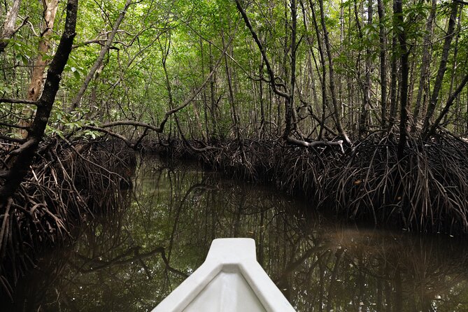 5 Hours Mangrove Boat Tour in Langkawi - Pickup, Timing, and What Your Half Day Really Looks Like