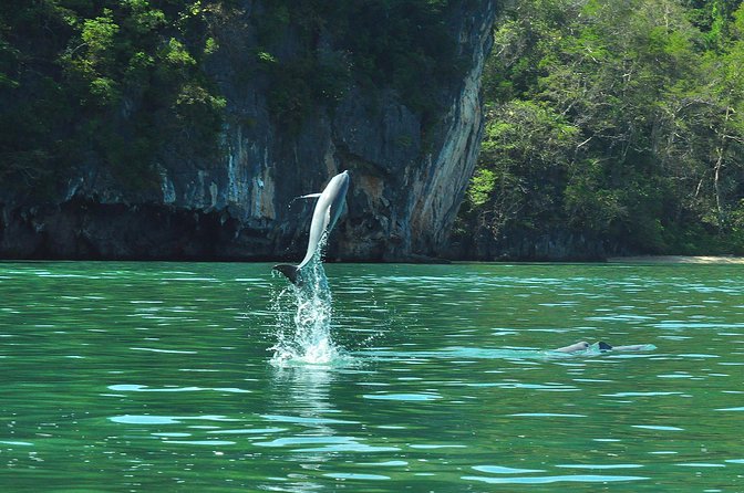 5 Hours Sharing Basis Kilim Mangrove Safari Boat Tour in Langkawi - Weather and Timing: What Can Change on You