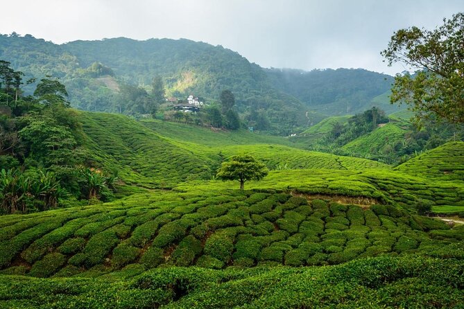 7-Days Best of Malaysia - Key things to know before you go