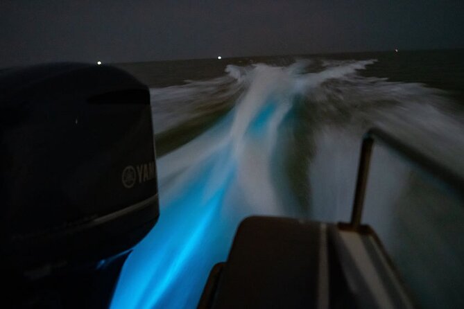 Amazing Fireflies With Blue Tears Watching & Kuala Selangor Tour - Kuala Lumpur to Kuala Selangor: how the 6 hours really works