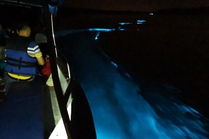 Amazing Fireflies With Blue Tears Watching & Kuala Selangor Tour - Kampung Kuantan Firefly Park: the mangrove boat ride