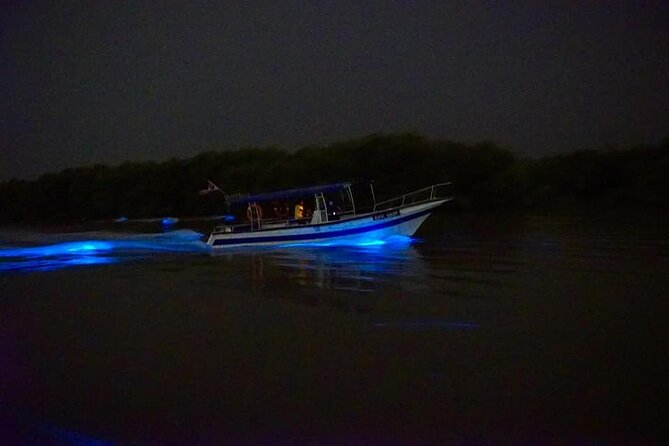 Amazing Fireflies With Blue Tears Watching & Kuala Selangor Tour - Blue tears boat ride: bioluminescent plankton and the net test