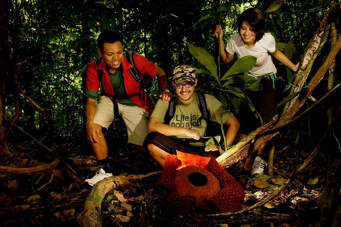 Amazing Taman Negara Day Trip from Kuala Lumpur Including Lunch - Key things to know before you go