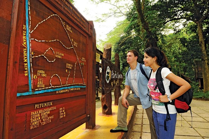 Amazing Taman Negara Day Trip from Kuala Lumpur Including Lunch - Above the Treetops: The Canopy Walkway Views You Can Actually Walk Into