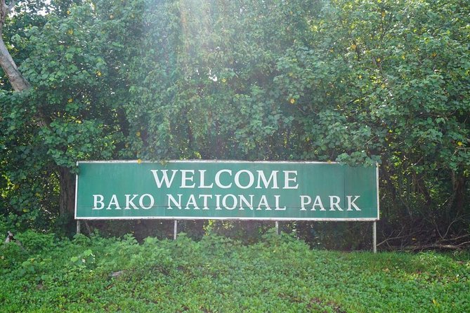 Bako National Park - Jungle trekking where the guide’s local skills really matter