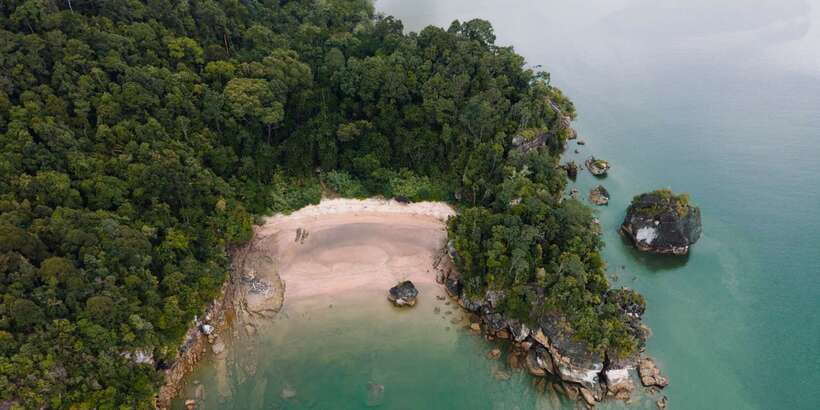 Bako National Park - A balanced reality check on wildlife expectations