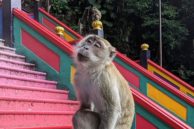 Batu Caves,Waterfalls and Hot Springs Tour With Lunch - Batu Caves: The 272 Steps, the Dress Code, and the Monkey Reality
