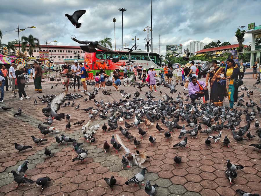 Best of Kuala Lumpur Tour with KL Tower & Batu Caves - Royal and Civic KL: King’s Palace, Independence Square, National Museum