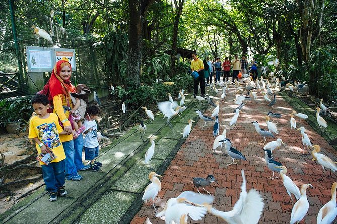 Bird Park & Butterfly Farm Nature Include All Entrance Tour From Kuala Lumpur - Stop 3: Taman Orkid Kuala Lumpur and its 800+ orchid varieties