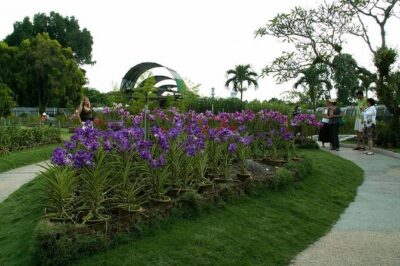 Bird Park & Butterfly Farm Nature Include All Entrance Tour From Kuala Lumpur