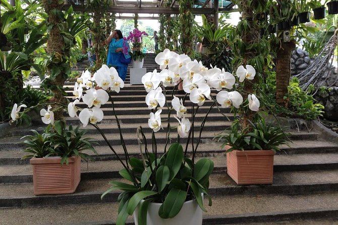 Bird Park & Butterfly Farm Nature Include All Entrance Tour From Kuala Lumpur - Price and value: what makes $74 per person feel fair