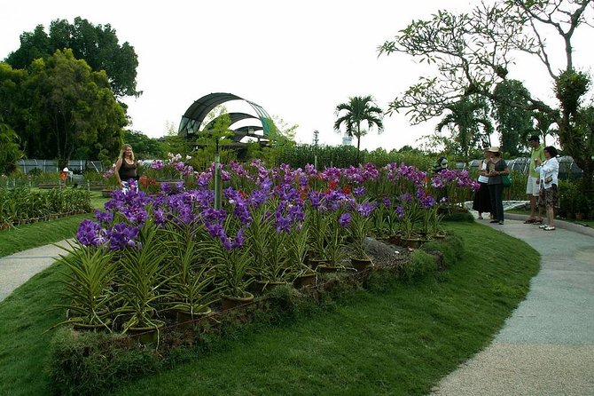 Bird Park & Butterfly Farm Nature Include All Entrance Tour From Kuala Lumpur - Stop 1: Kuala Lumpur Bird Park in Lake Gardens