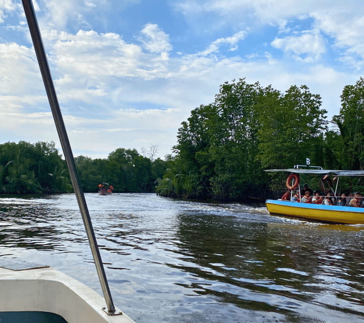 Bongawan River Cruise: Proboscis Monkey & Fireflies Viewing - Who This Tour Fits Best, and Who Might Want to Rethink