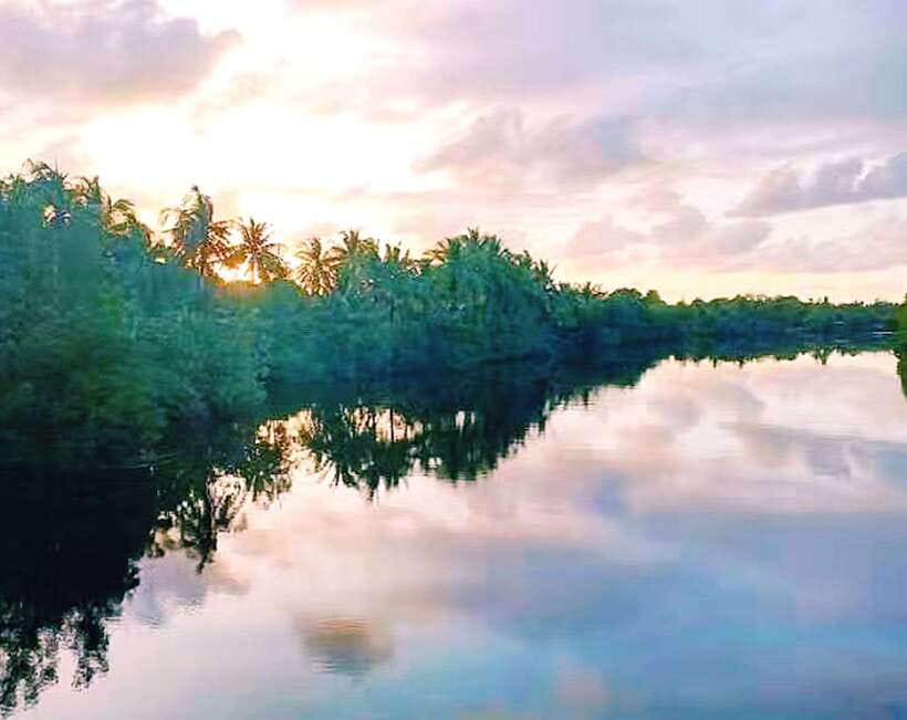 Bongawan Wetland: Proboscis Monkey and Fireflies Shared Tour - How the Day Works: 2:00 PM Pickup to an Evening Drop-Off