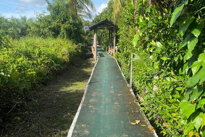 Borneo (Klias) River Cruise & Fireflies Tour - What dinner and hi-tea include, and why it matters