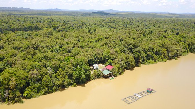 Borneo Wildlife Tour 3 Days 2 Nights At Tanjung Bulat Jungle Camp Kinabatangan - Day 2 Sunrise Watching, Boat Cruising, and the Smart Timing of Breaks