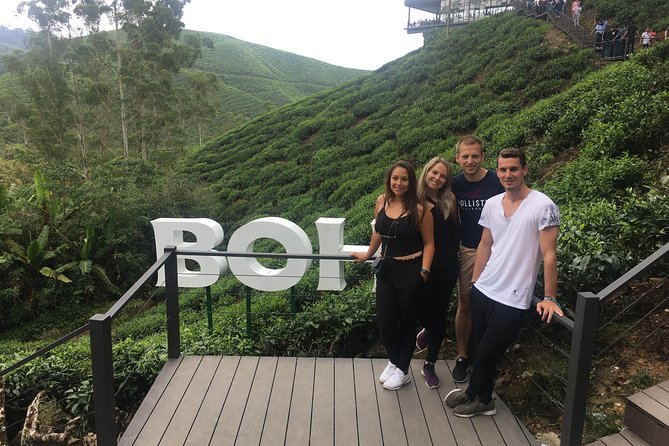 Cameron Highland Best Day Tour from Ipoh with Lunch ( Day Trip) - A private Cameron Highlands day trip that starts with real tea time