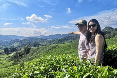 Cameron Highland Best Day Tour from Ipoh with Lunch ( Day Trip)