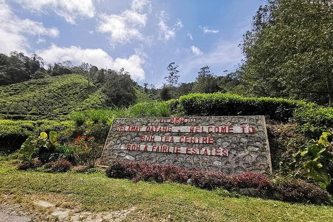 Cameron Highland Day-Trip from Kuala Lumpur - A Cooler Break From Kuala Lumpur: What This Day Trip Really Delivers