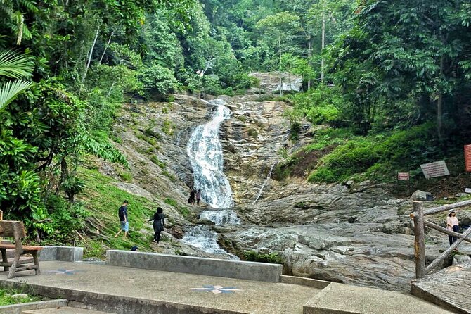 Cameron Highland Full Day Tour from KL City (Private) - Butterfly Garden, Bee Farm, and Cactus Valley: Short Stops That Still Click