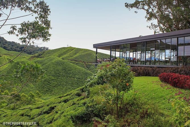 Cameron Highland Private Day Tour From Ipoh - A Private Cameron Highlands Day From Ipoh That Actually Feels Like a Day