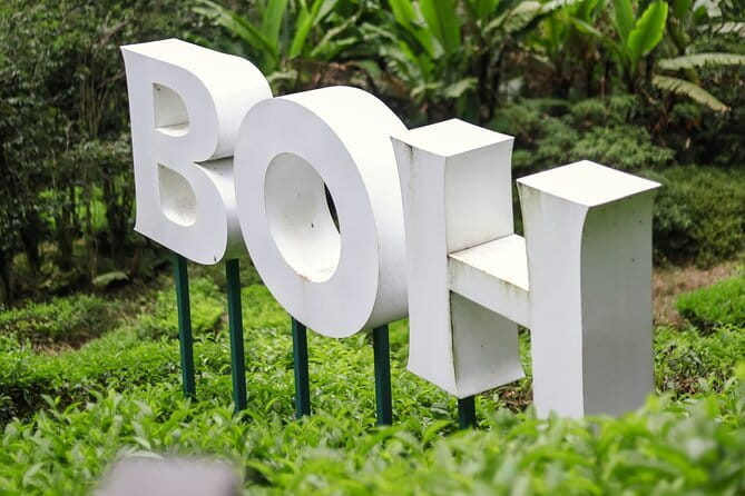 Cameron Highland Private Day Tour From Ipoh - Raju Hill Strawberry Farm: Sweet Treats and a Family-Friendly Pace