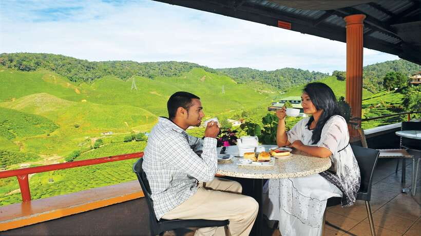 Cameron Highlands 1 Day Tour from Kuala Lumpur - Cactus Valley, bee farm, and butterfly/insect garden: variety, not a full zoo