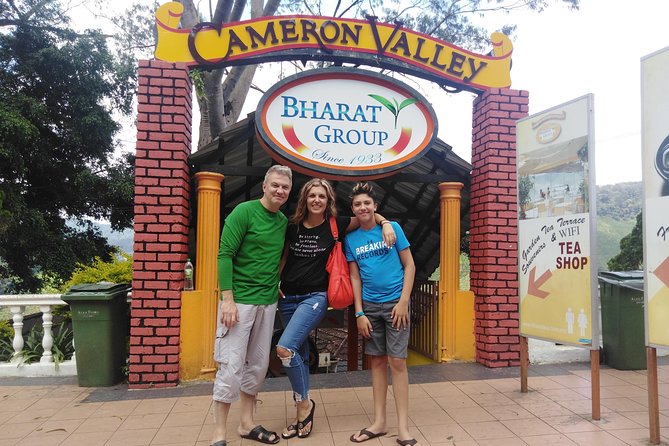 Cameron Highlands Day Trip From Kuala Lumpur - Private Pickup to Cameron Highlands, Without the Bus Squeeze