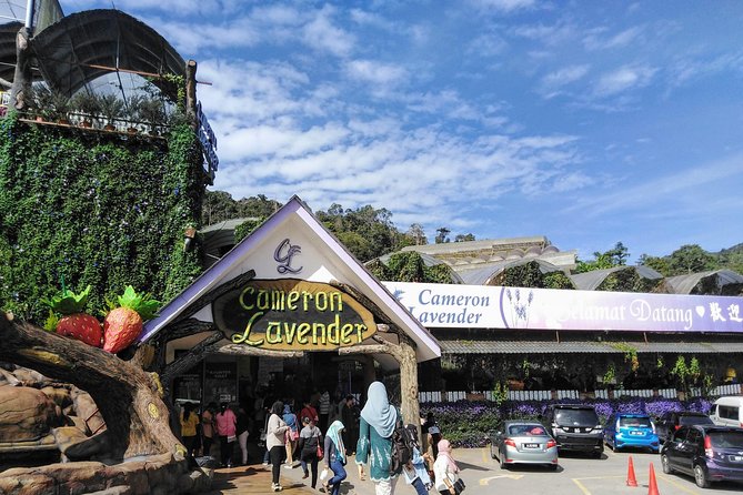 Cameron Highlands Day Trip From Kuala Lumpur - Stop-by-Stop in the Cameron Highlands: From Lata Iskandar to BOH Tea