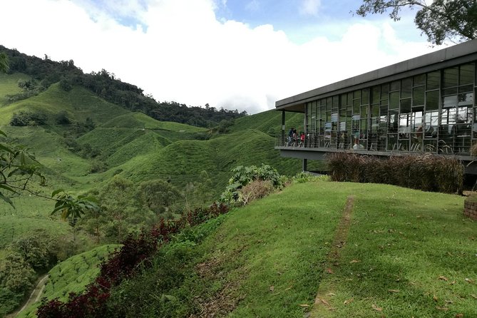 Cameron Highlands, Garden of Nature Full Day Private Guided Tour - Private tour setup, pickup limits, and why timing matters