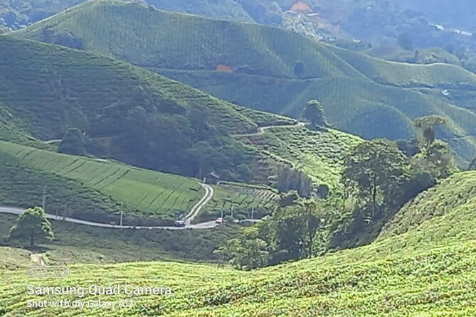 Cameron Highlands Private Day Tour from Ipoh, Package B - Key highlights you’ll actually feel during the day