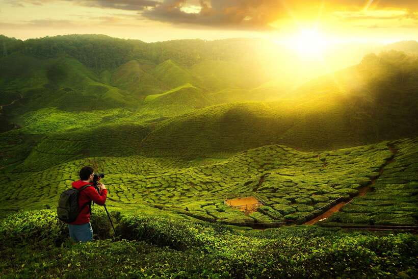 Cameron Highlands Private Tour with Tea Plantation Visit - Boh Tea Plantation Stop: Views, Tea, and a Real Sense of Place