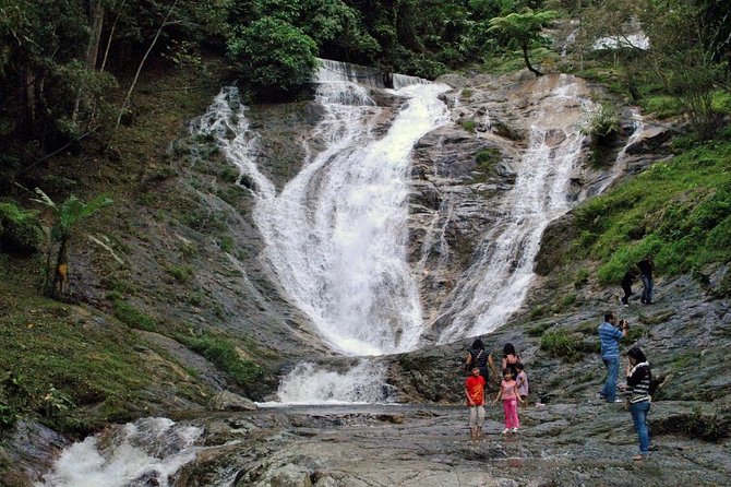 Cameron Highlands Tour on Private Basis - Tea farms and gardens: Bharat, Rose, BOH, and the butterfly stop