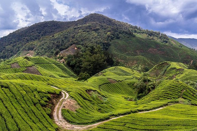 Cameron Highlands Tour on Private Basis - Lata Iskandar waterfall: a photo stop that still feels worth it
