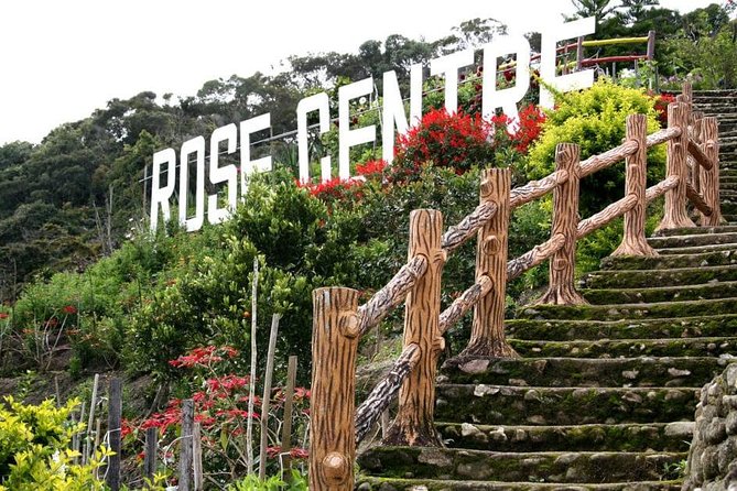 Cameron Highlands Tour on Private Basis - Indigenous blowpipe demo: what to watch for and why it matters