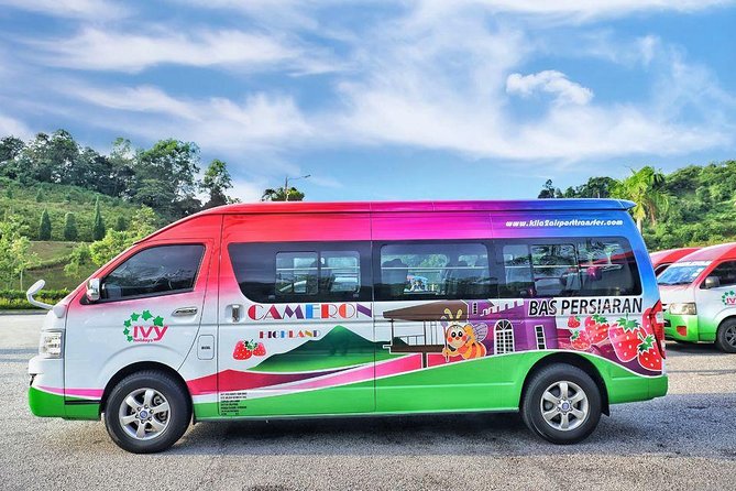 Cameron Highlands with Lunch Guided Day Tour (SIC/Shared Tour) - Pickup, Drive Time, and the Comfort Reality of a Shared Tour