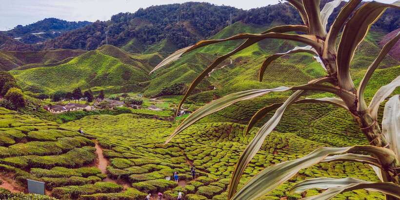 Cameroon Highland : Best nature in highland - The aboriginal village stop: more than a quick photo moment