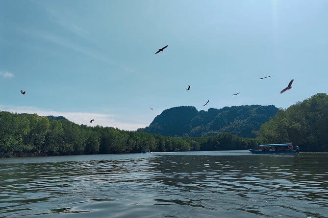 Combo Langkawi Cable Car & Sky Bridge With Mangrove Private Boat - A half-day plan that mixes big heights with mangrove calm