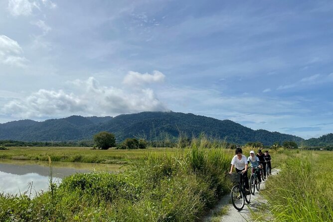 Countryside Biking Tour in Langkawi - How the countryside ride really feels: orchards, paddy fields, rubber farms