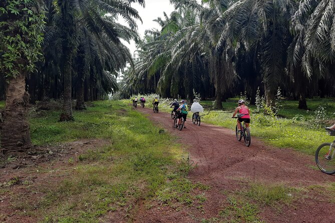 Countryside Cycling Tour. T1.0 by Matahari - Key highlights I think you will care about