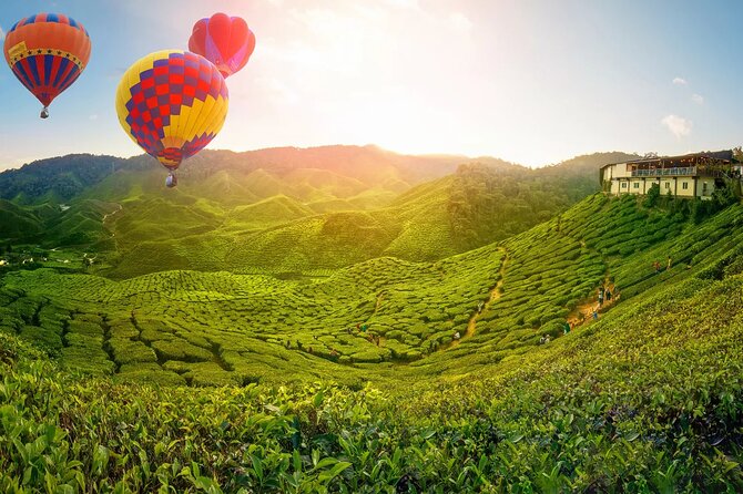 Day Trip to Cameron Highlands: Nature Escape from Kuala Lumpur - Why this Cameron Highlands day trip feels worth the long drive from KL