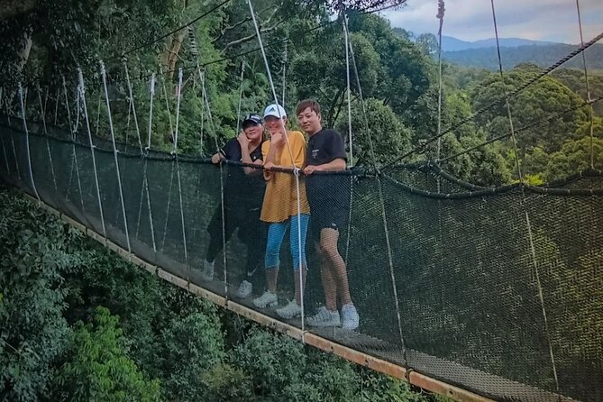 Day Trip to Kinabalu Park and Poring Hot Spring Guided Tour - Key highlights at a glance