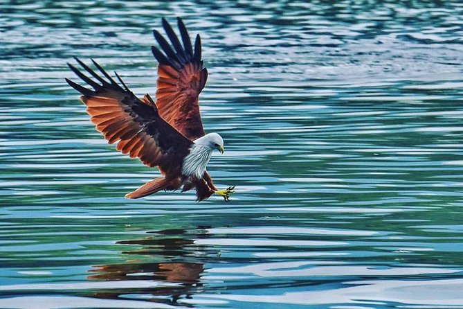 Discover Langkawi Like a local Include Mangrove Tours - Getting around with private pickup, and why meeting points matter