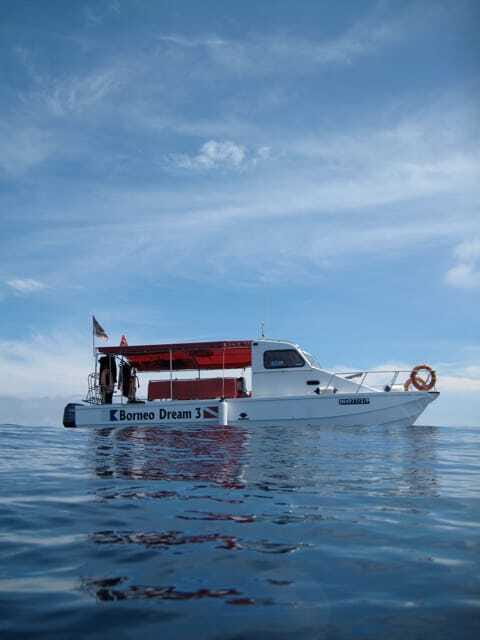 Enjoy 3 Fun Dives in Kota Kinabalu | Certified Divers - Key highlights worth your attention